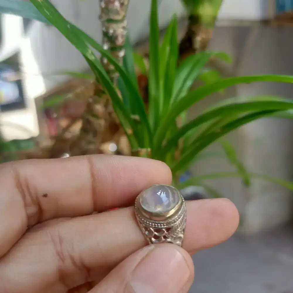 di jual batu kalimaya