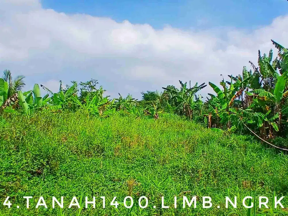 Dijual tanah kebun subur nangkring diatas jalan akses mudah strategis
