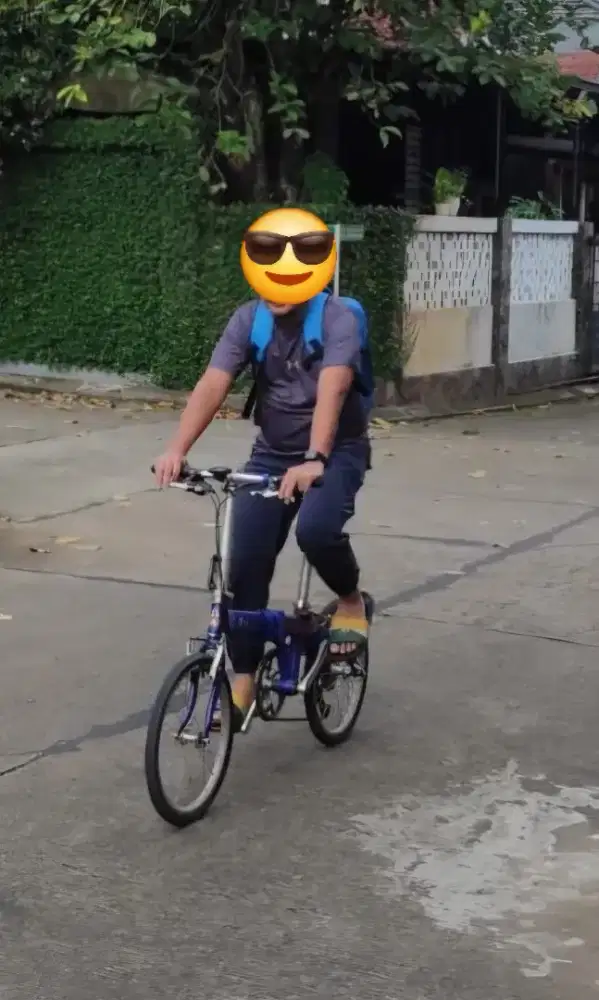 Seli Dahon DLT X-1 edisi pindahan