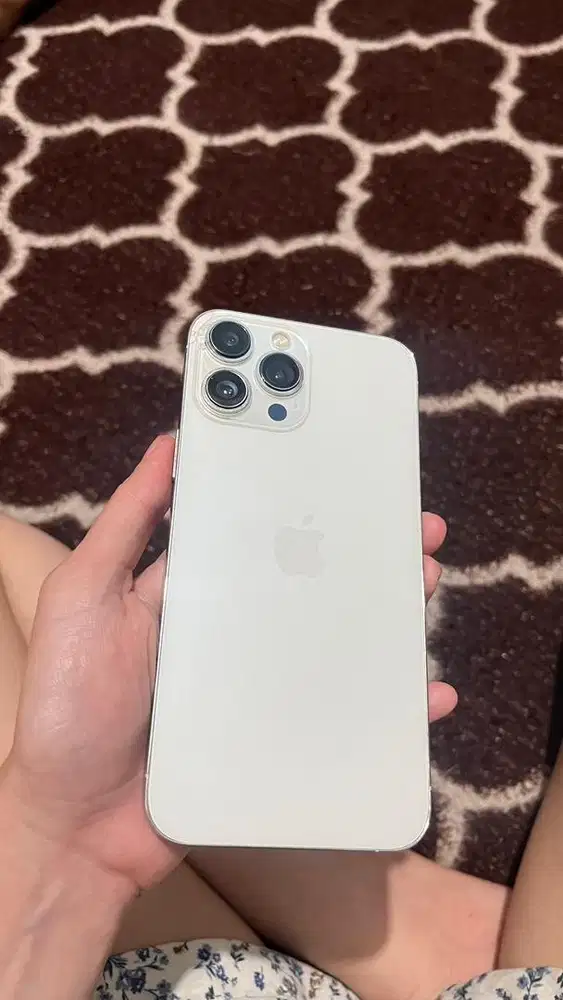 iphone 13 promax