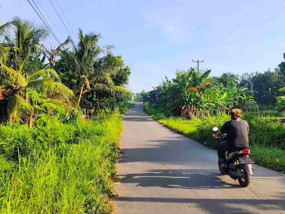 tanah bonus kayu jati di cibarusah, bekasi