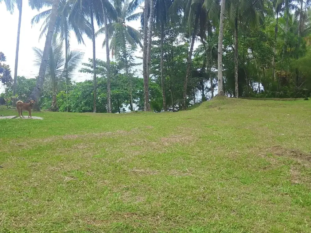 DIJUAL TANAH