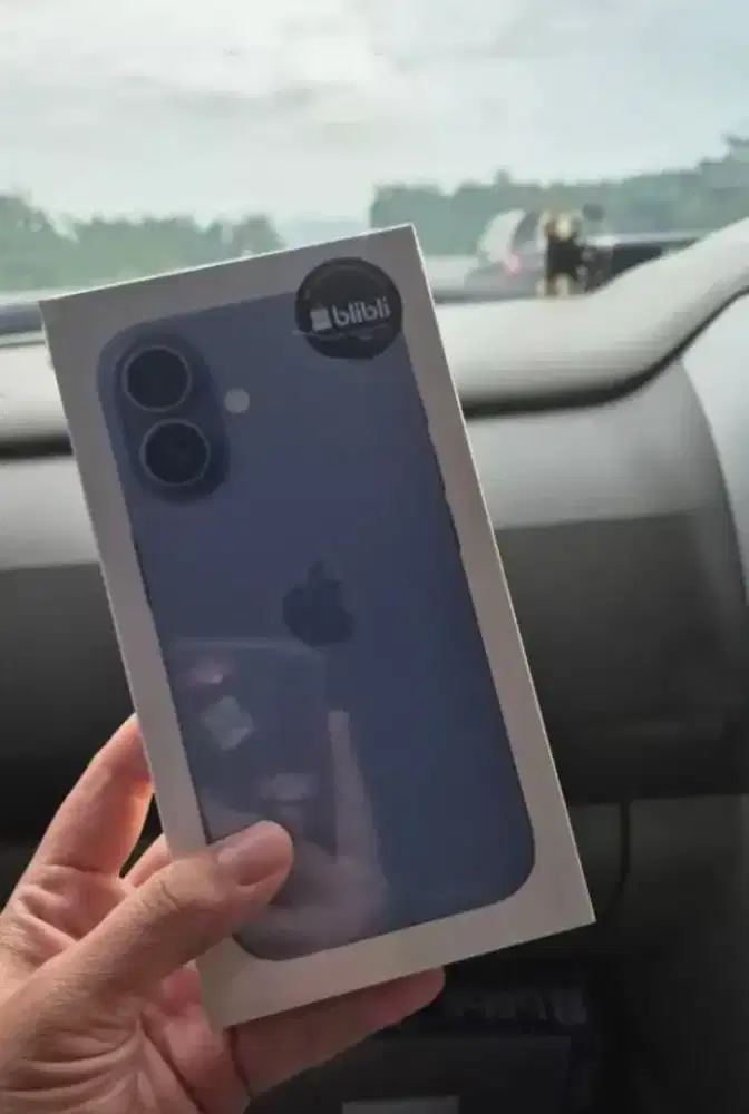 iPhone 16 256GB