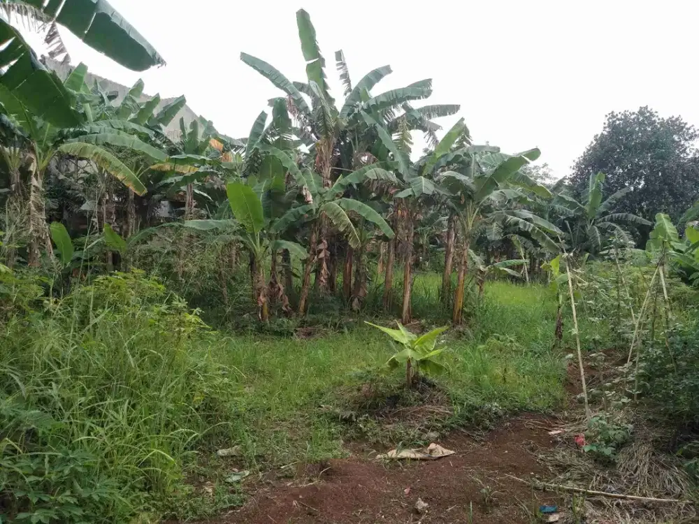 Tanah Darat Cocok Buat Cluster di Limo Cinere Depok