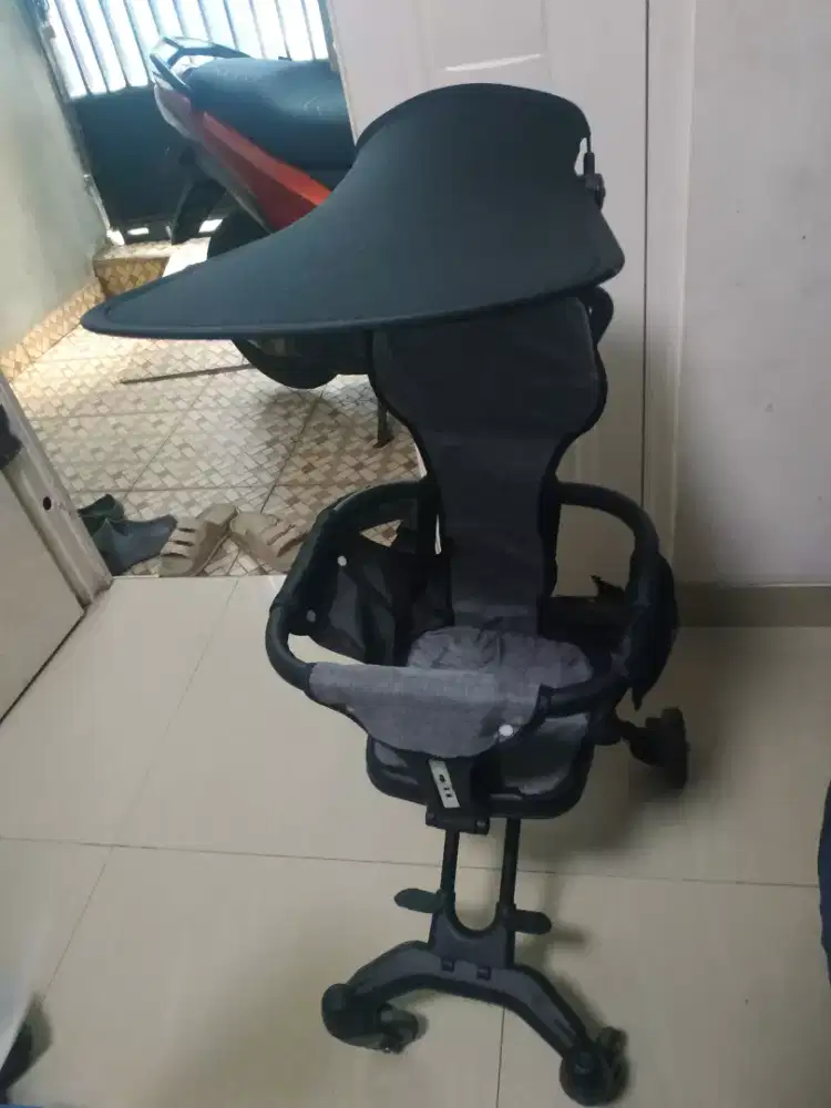 Magic stroller mommy