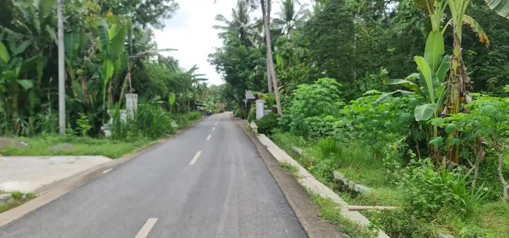 Tanah SHM 1600m² Dekat Bandara YIA – Pinggir Jalan Aspal, Harga BU!