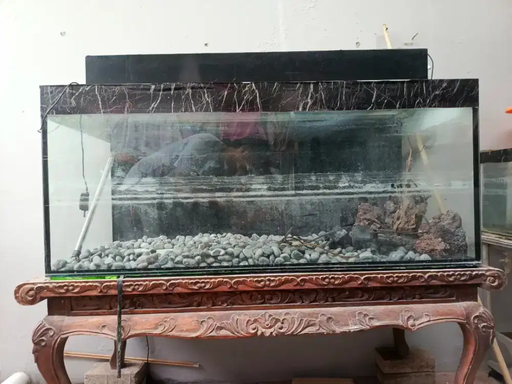 Aquarium 120x50x50