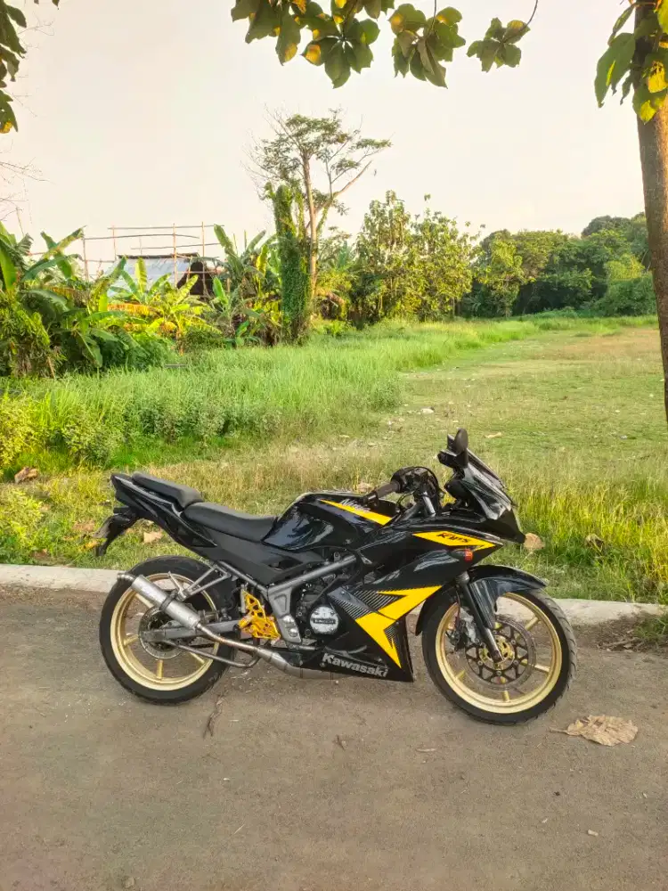 Kawasaki ninja rr new