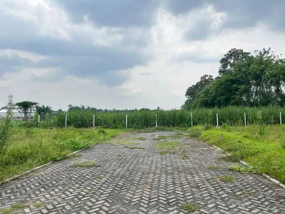 Tanah 100 Jutaan Lokasi Strategis Malang 5 Menit ke Blimbing
