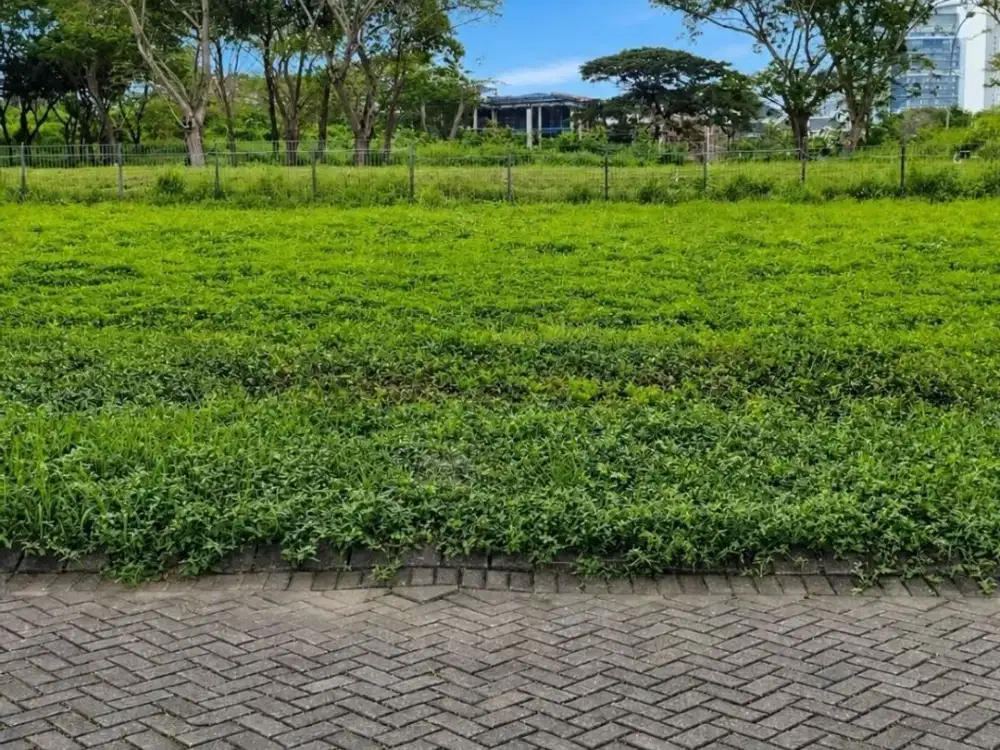 Kavling Bukit Golf International, Citraland STRATRGIS, ROW JALAN 3 MOBIL