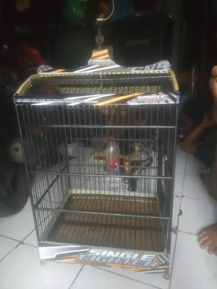 Kandang no 2, Buka 175 nego bensin.