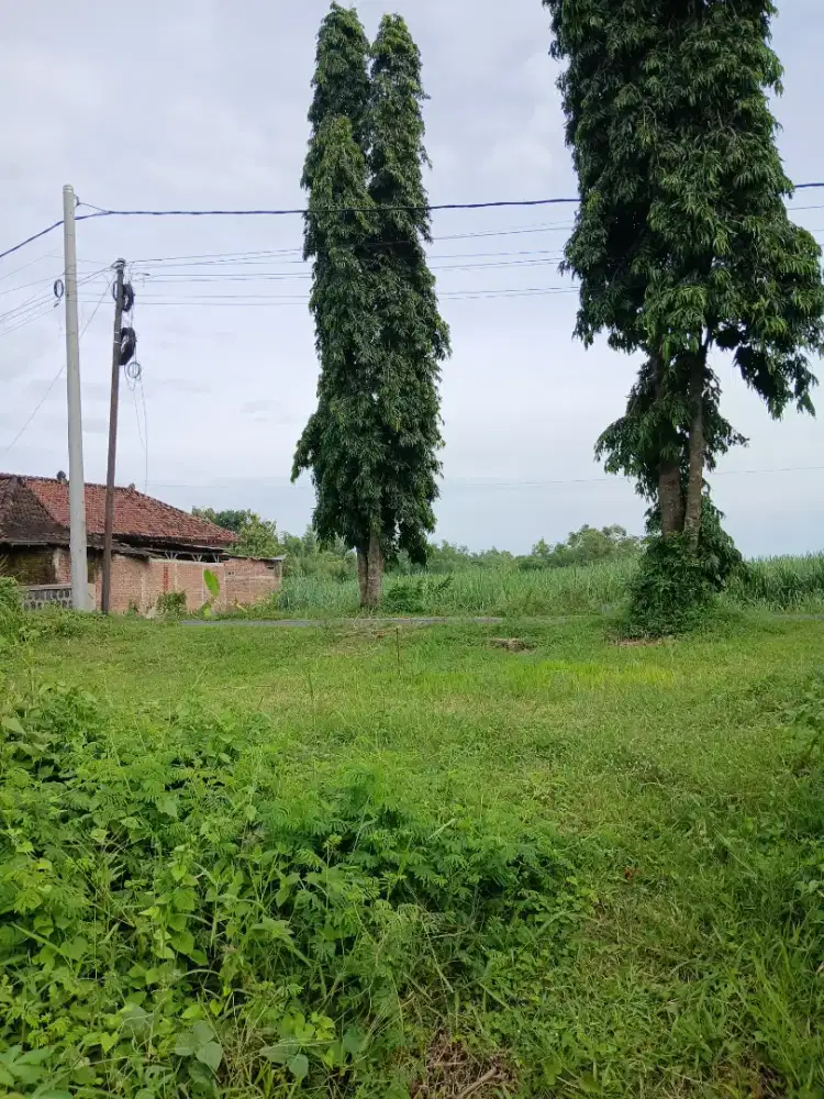 Dijual tanah shm pinggir jalan aspal cocok untuk hunian atau usaha