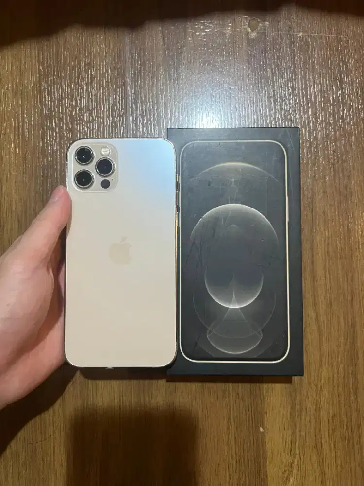 iPhone 12 Pro 256GB Gold Minus Face ID, Di Jual Murah