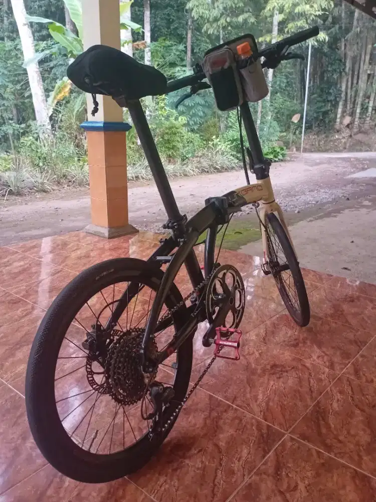 Seli polygon urbano 5