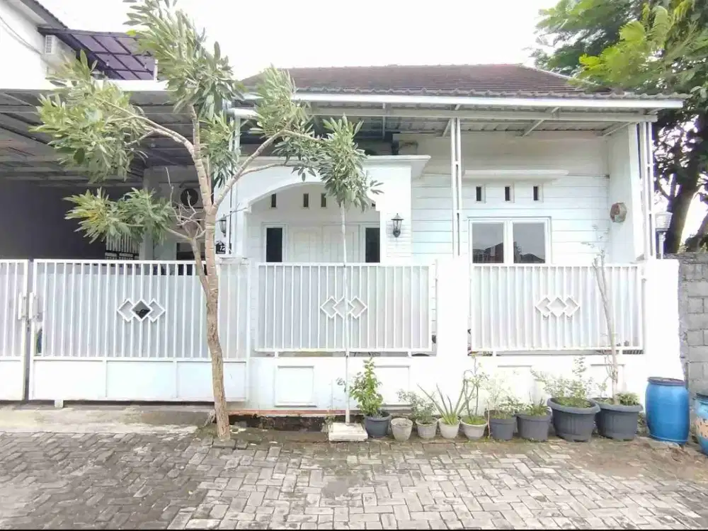 Rumah Pojok Buntu di Jl Turangga Selatan Pedurungan Tengah Semarang