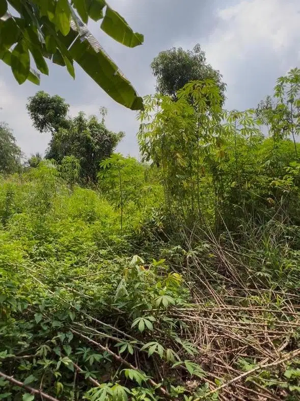 Tanah Dijual Cepat Depan PONDOK DARU PERMAI Tangerang