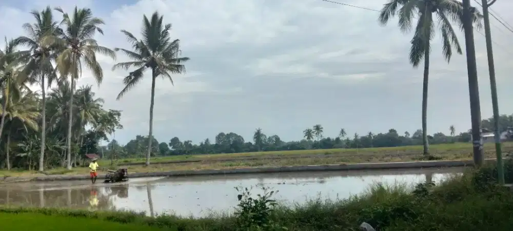 Dibutuhkan Cepat ART - Pengasuh Anak