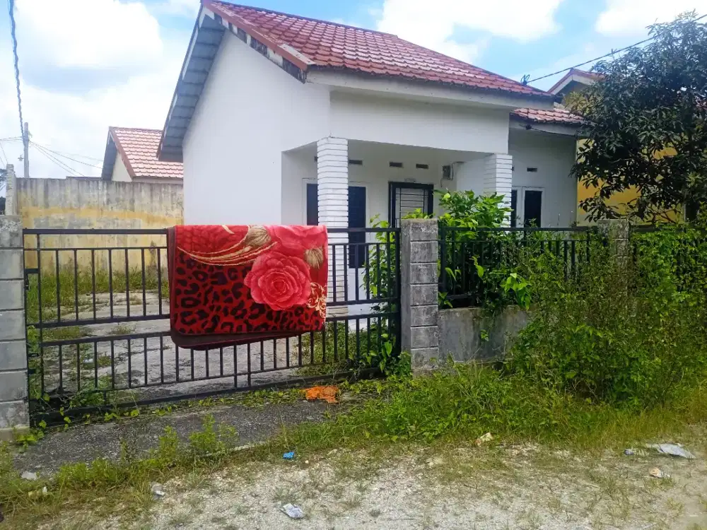 Jual rumah cash di perumahan nusa indah graha rimbo panjang