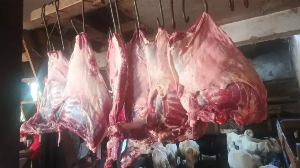 Kambing fresh kiloancampur