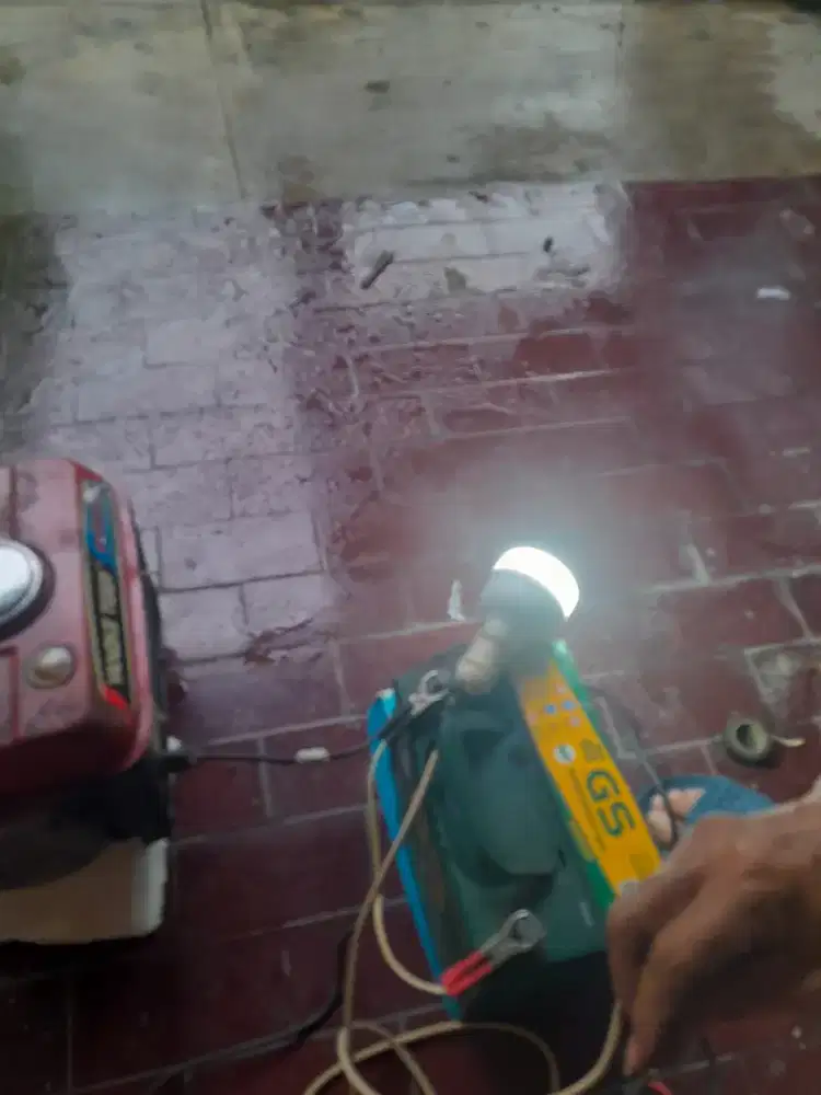 Generator Merk YANGKE TIGER.