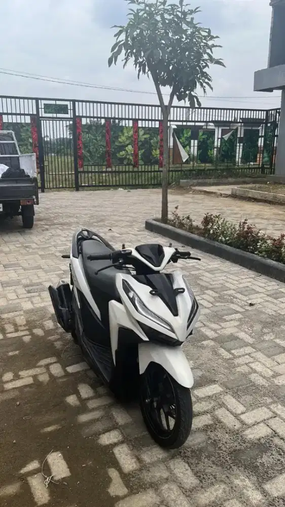 vario led new 2018
