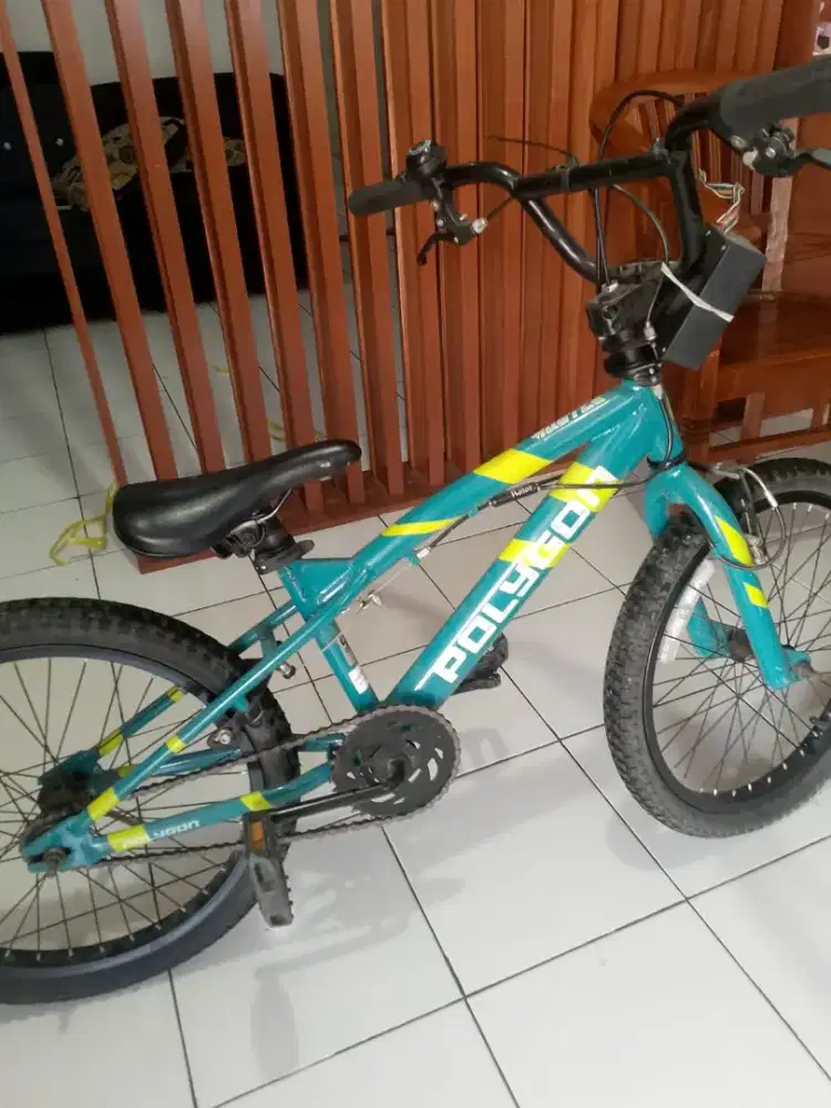 Sepeda anak warna biru
