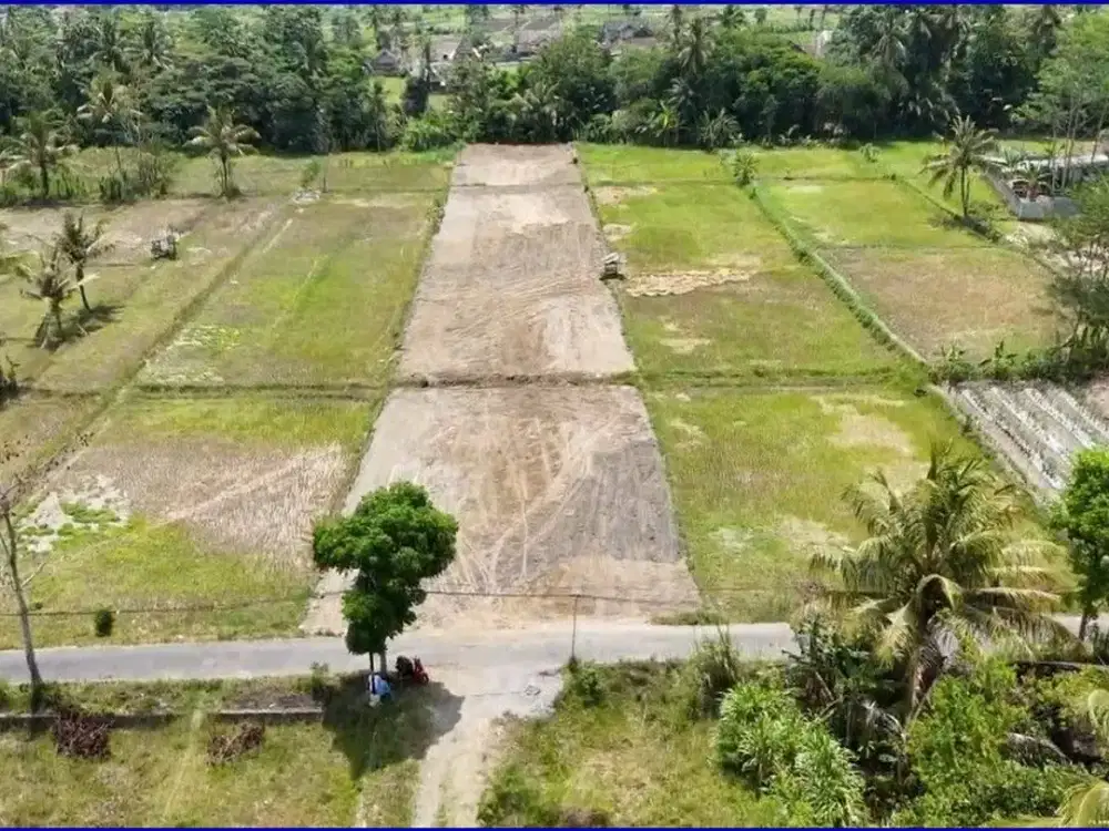 Tanah Dijual Jogja Jl. Balong-Degolan Dekat Kampus UI