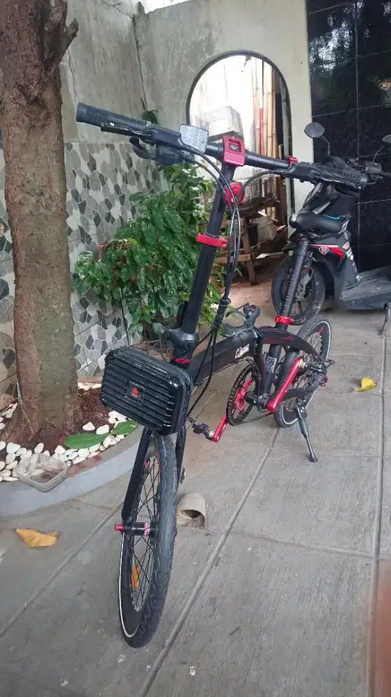 SELI PACIFIC NORIS PRO
