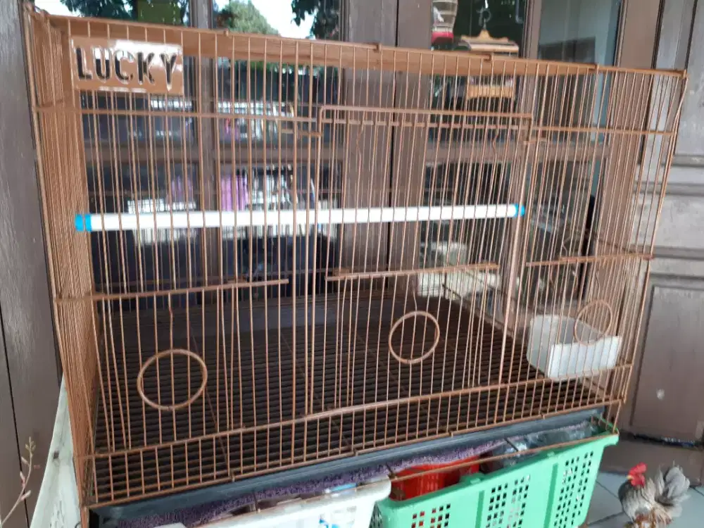 KANDANG BURUNG BESI