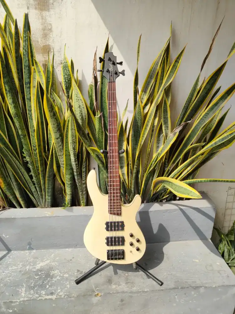 Bass Cort Ex Endah n Rhesa