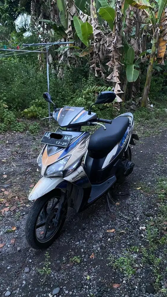 Vario 2010 (karbu)