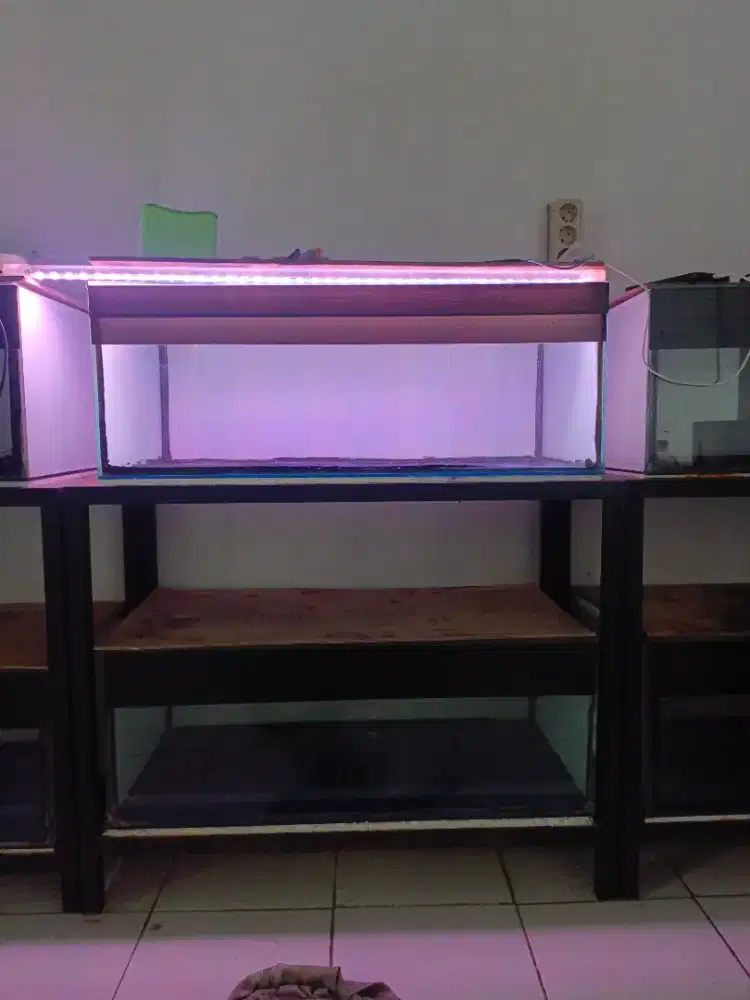 Akuarium Ikan Ukuran 80/40/30