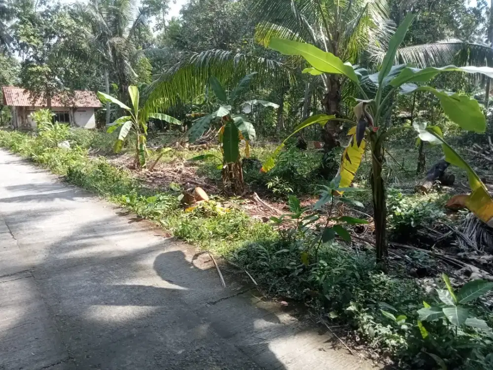 Dijual tanah pekarangan