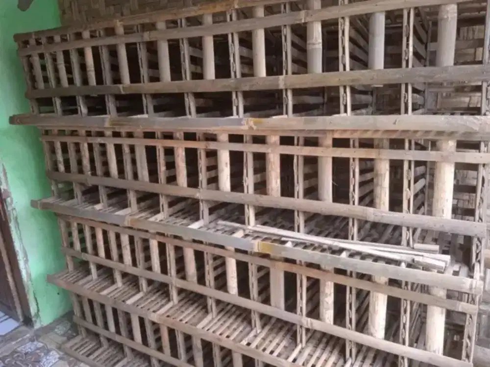 Kandang baterai ayam petelur