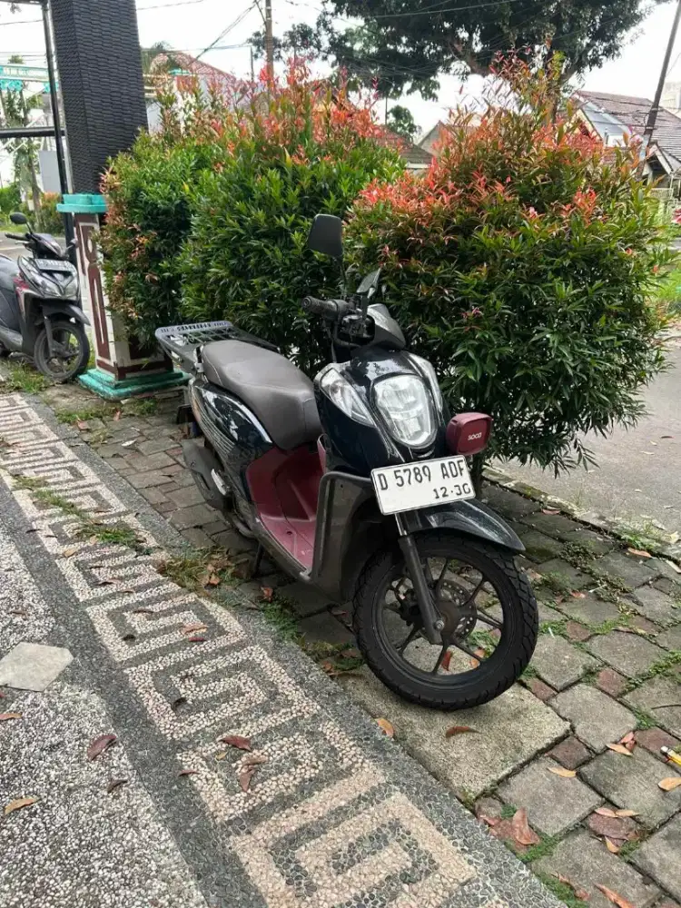 HONDA GENIO 2021