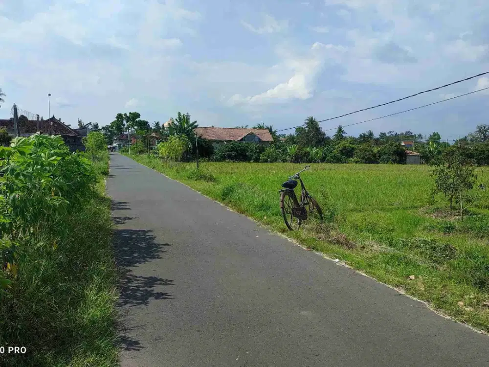 Dijual Sawah Pinggir Jalan Aspal Dekat Pasar Di Minggir Sleman Yogyakarta