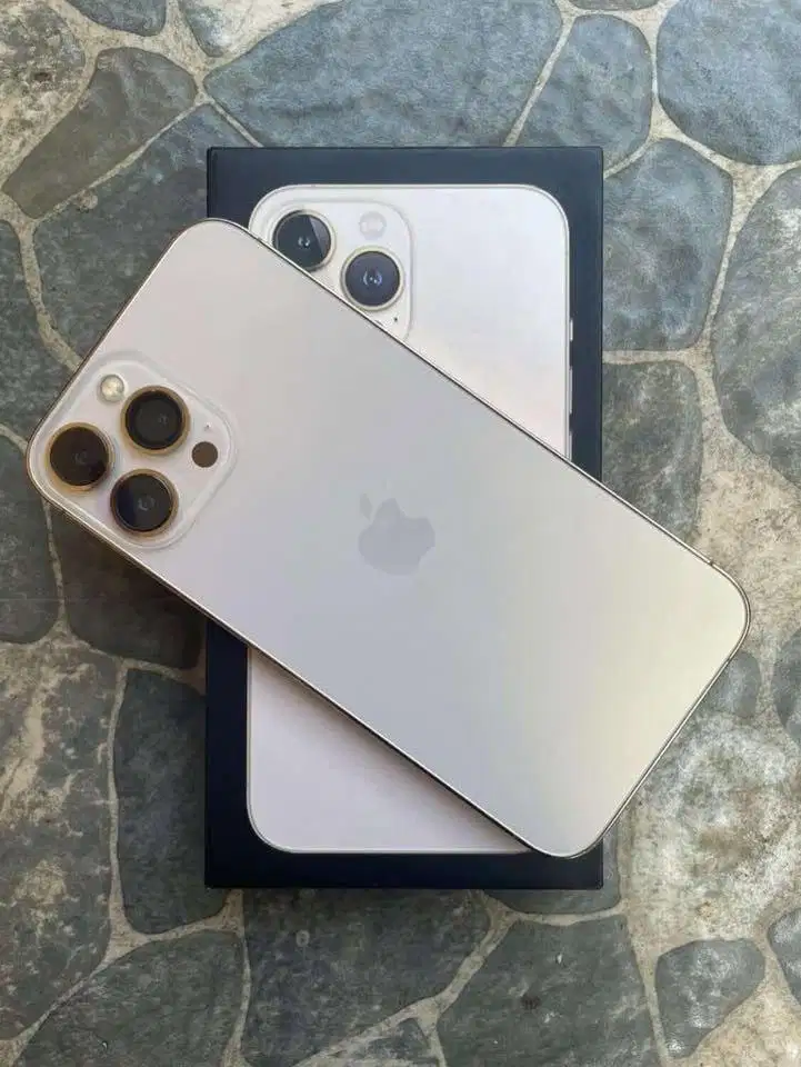 Iphone 13 ProMax inter 256gb