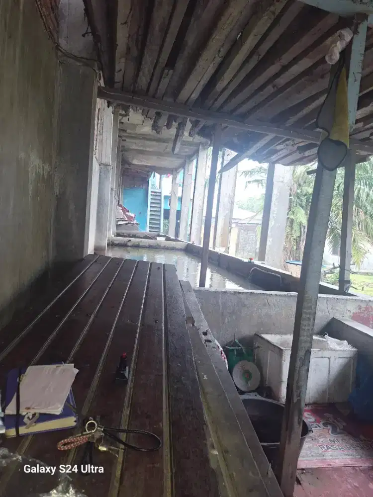 Loker jaga jualan bibit ikan