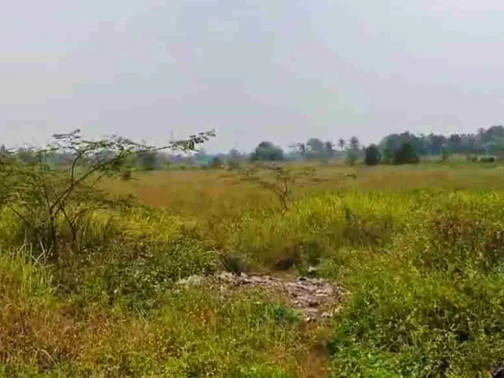 tanah Cikande serang