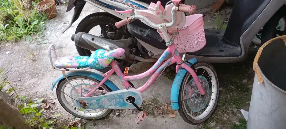 Sepeda anak perempuan