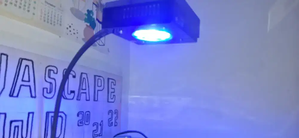 Lampu aqurium led 2 warna merk KMS