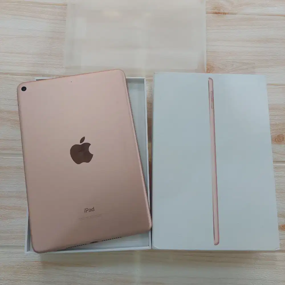 Ipad Mini 5 256 Gb Wifi Only Second Mulus