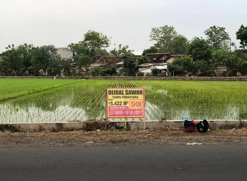SAWAH STRATEGIS SHM 5.422m² DIJUAL – MOJOLABAN, PLUMBON, SUKOHARJO