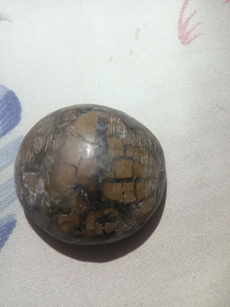 Batu ular asli 100% 3generasi