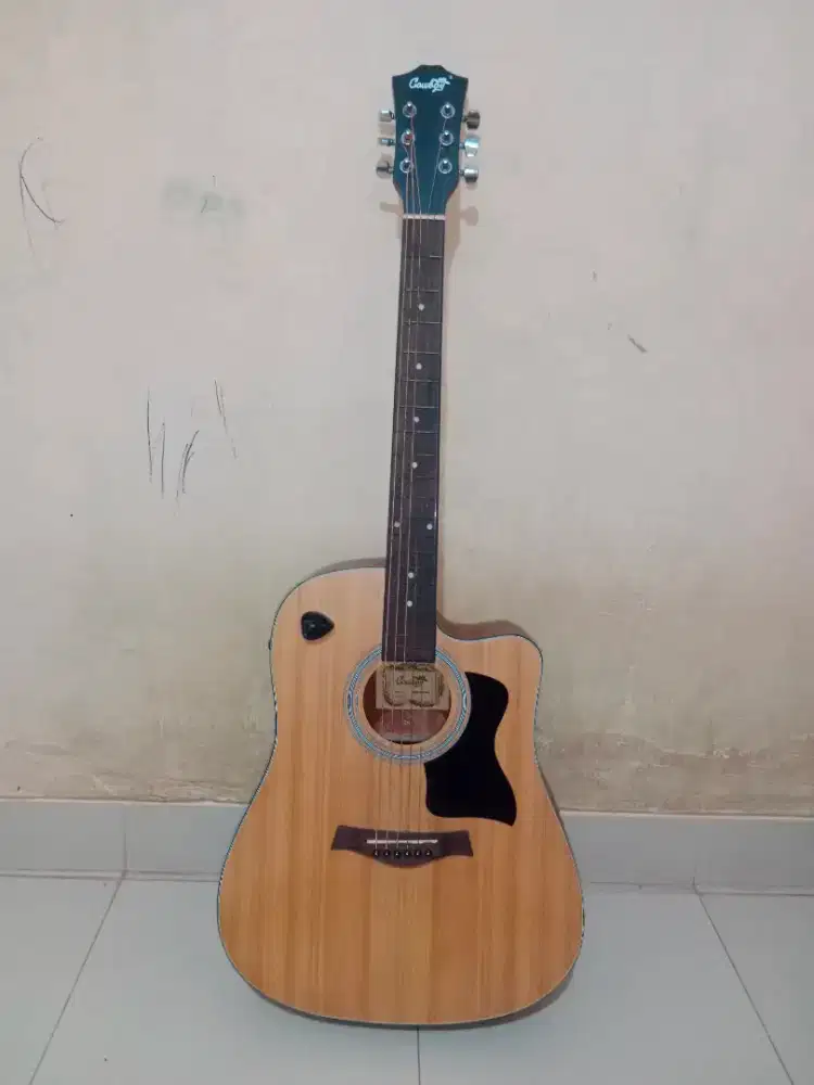Gitar + Sarung gitar