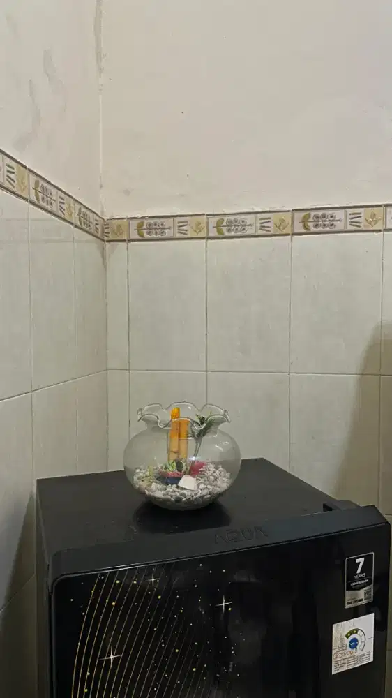 Aquarium Mini Bulat Kaca + Batu Hias & Tanaman