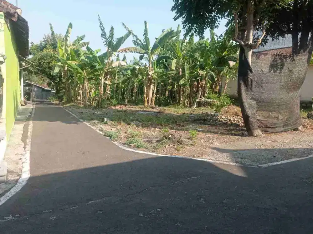 tanah prampalan masaran dekat jalan Solo Sragen