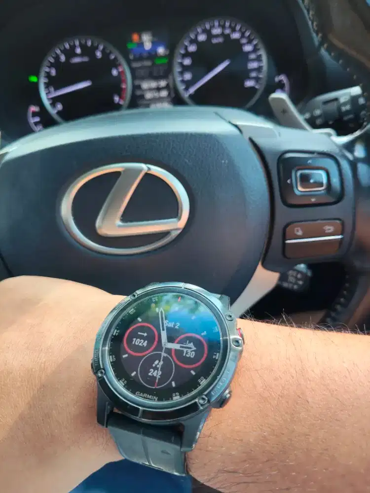 Garmin fenix 5X plus mulus mura