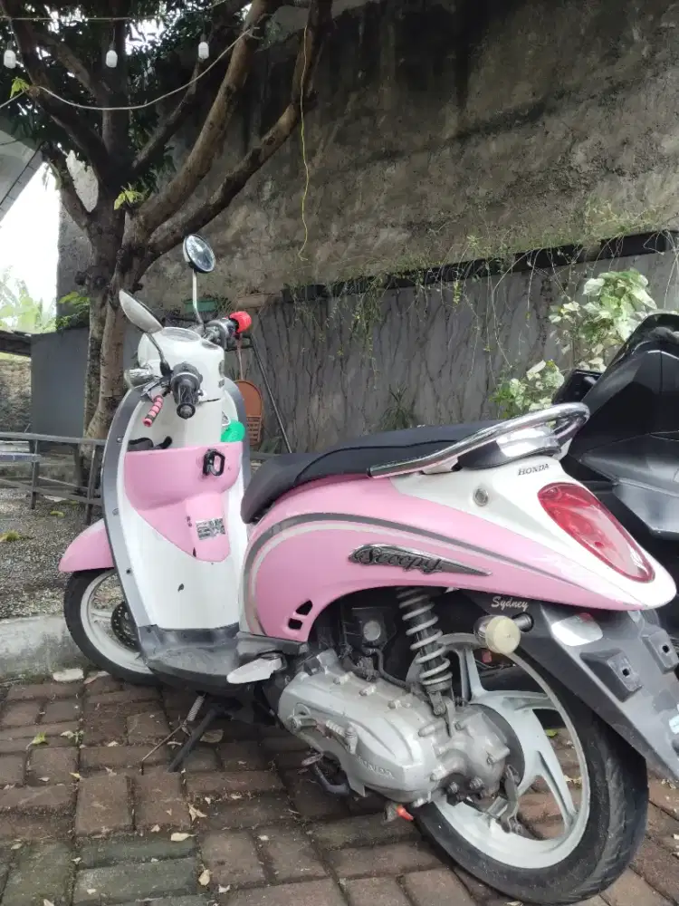 Jual Scoopy karbu terbaik 2010