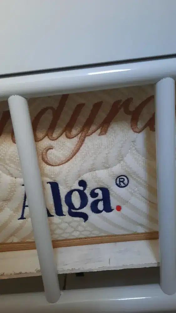 Springbed ALGA type baru
